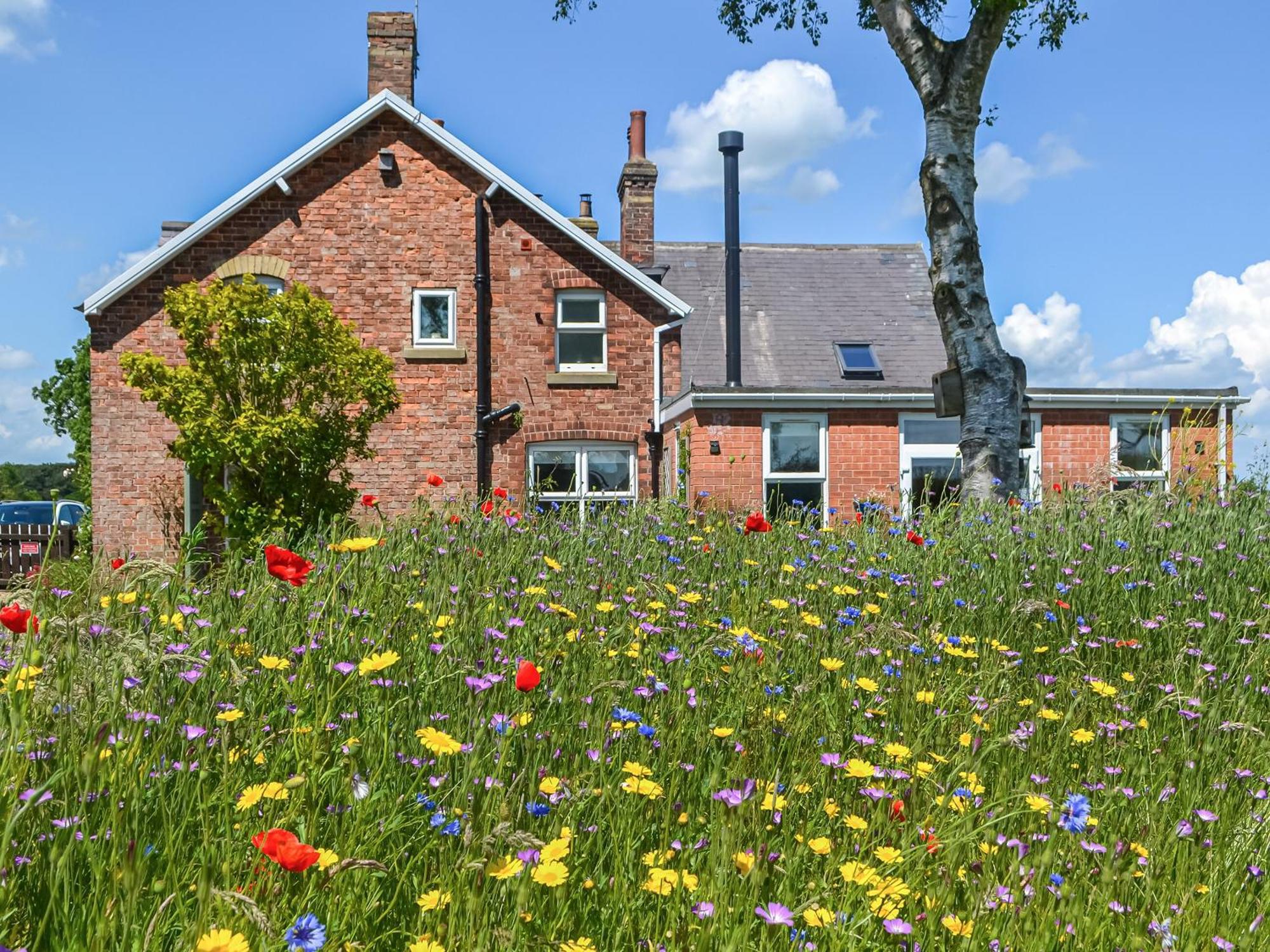 School Cottage Lowthorpe المظهر الخارجي الصورة